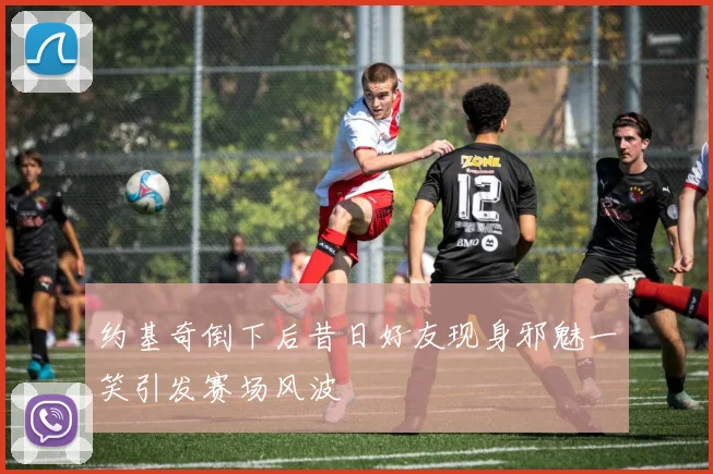 约基奇倒下后昔日好友现身邪魅一笑引发赛场风波
